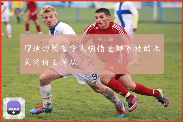 穆迪的陨落令人惋惜金融市场的未来将何去何从