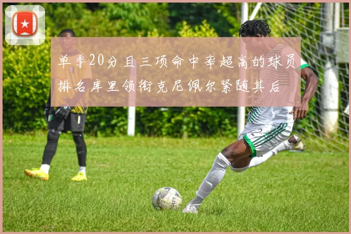 单季20分且三项命中率超高的球员排名库里领衔克尼佩尔紧随其后